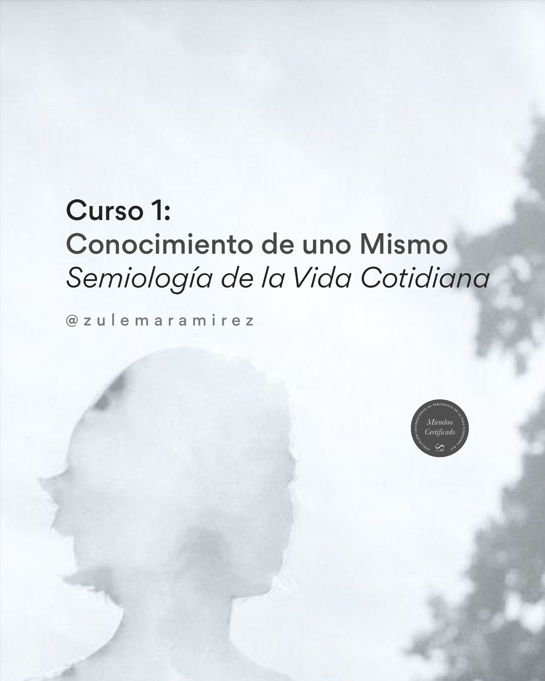 Curso 1 de Semiología de la Vida Cotidiana©: Conocimiento de uno Mismo